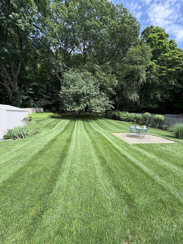 Weekly lawn maintenance